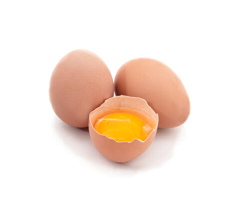 Eggs Fresh Free Range Organic