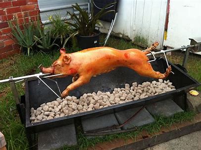 Spit Pig Tender Tasty And Ready For The Special Occasion Approx 20kg